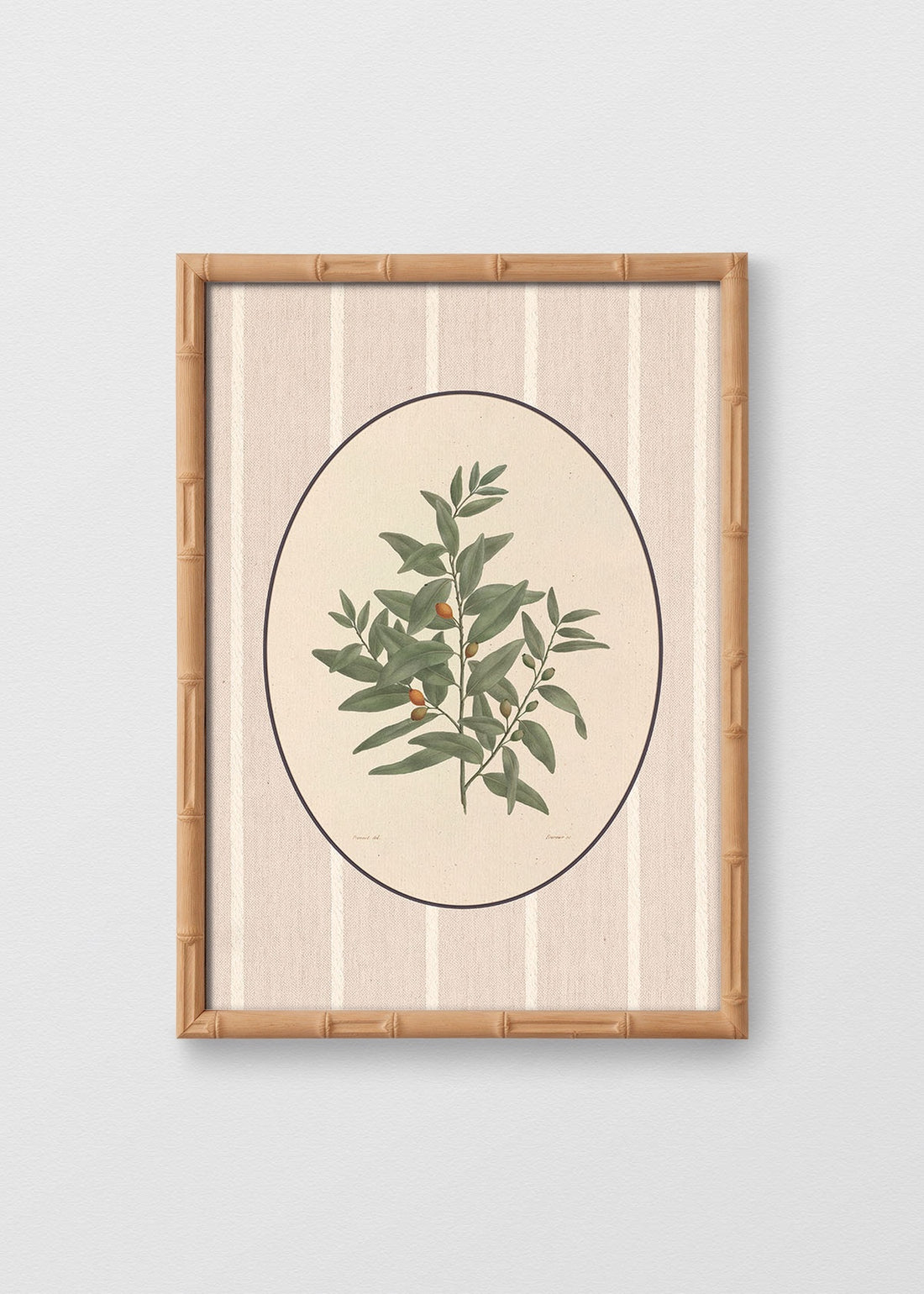 BAMBÚ NATURAL NO