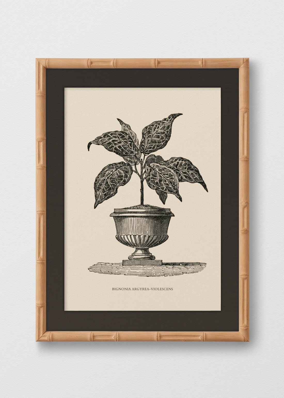BAMBÚ NATURAL LINO NEGRO