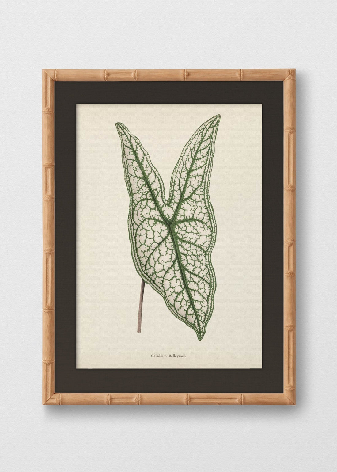 BAMBÚ NATURAL LINO NEGRO