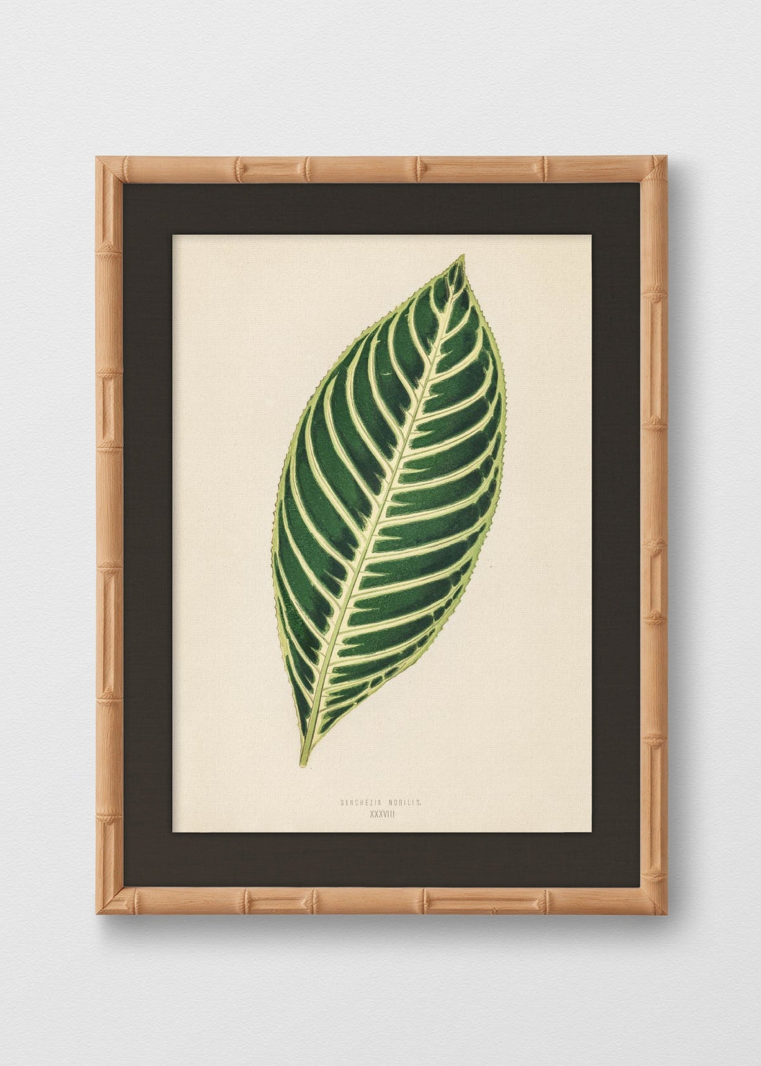 BAMBÚ NATURAL LINO NEGRO