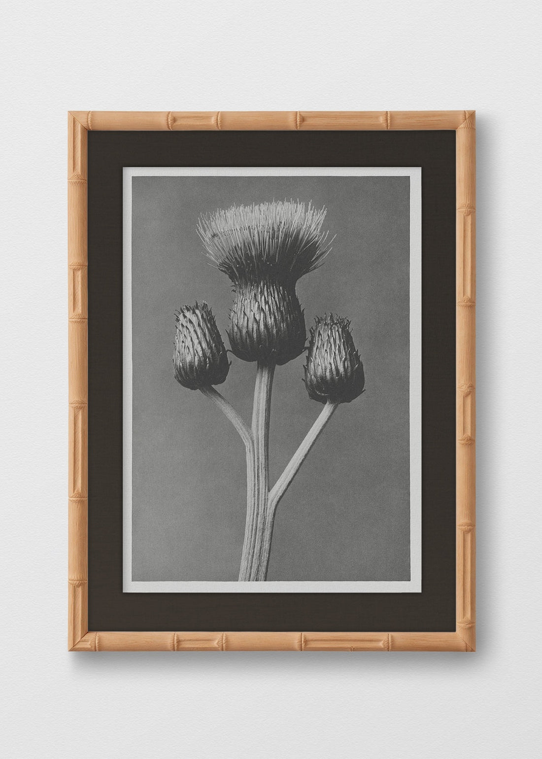 BAMBÚ NATURAL LINO NEGRO