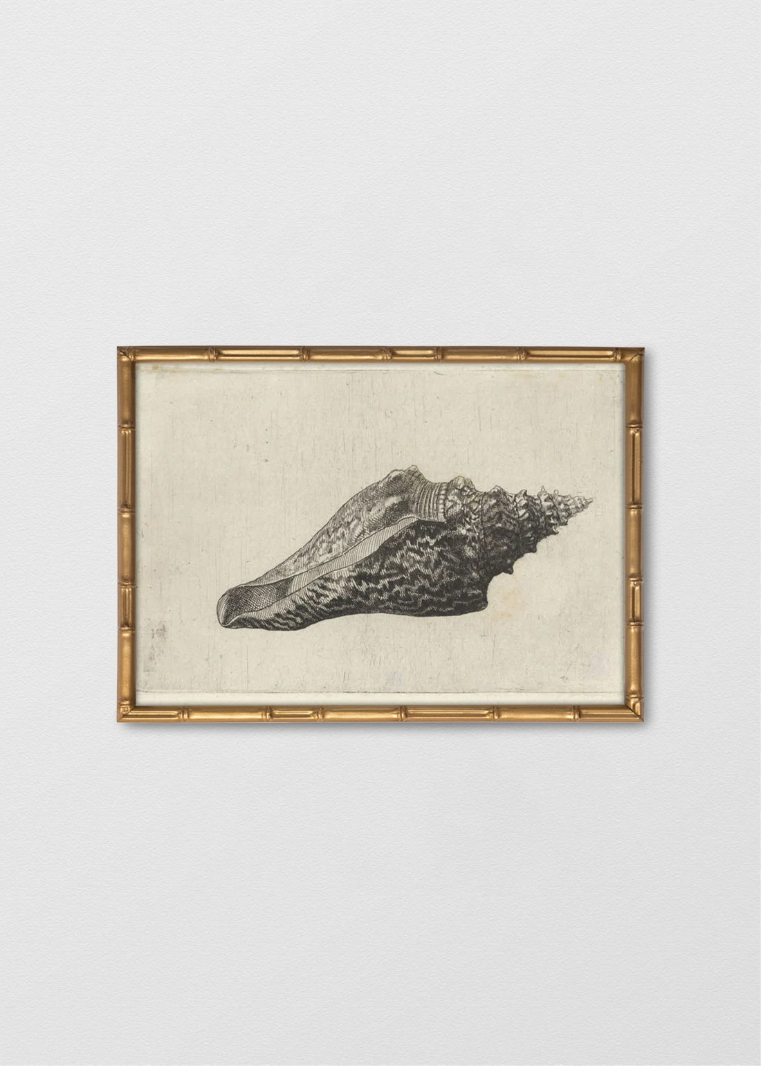 BAMBÚ DORADO ANTIGUO NO