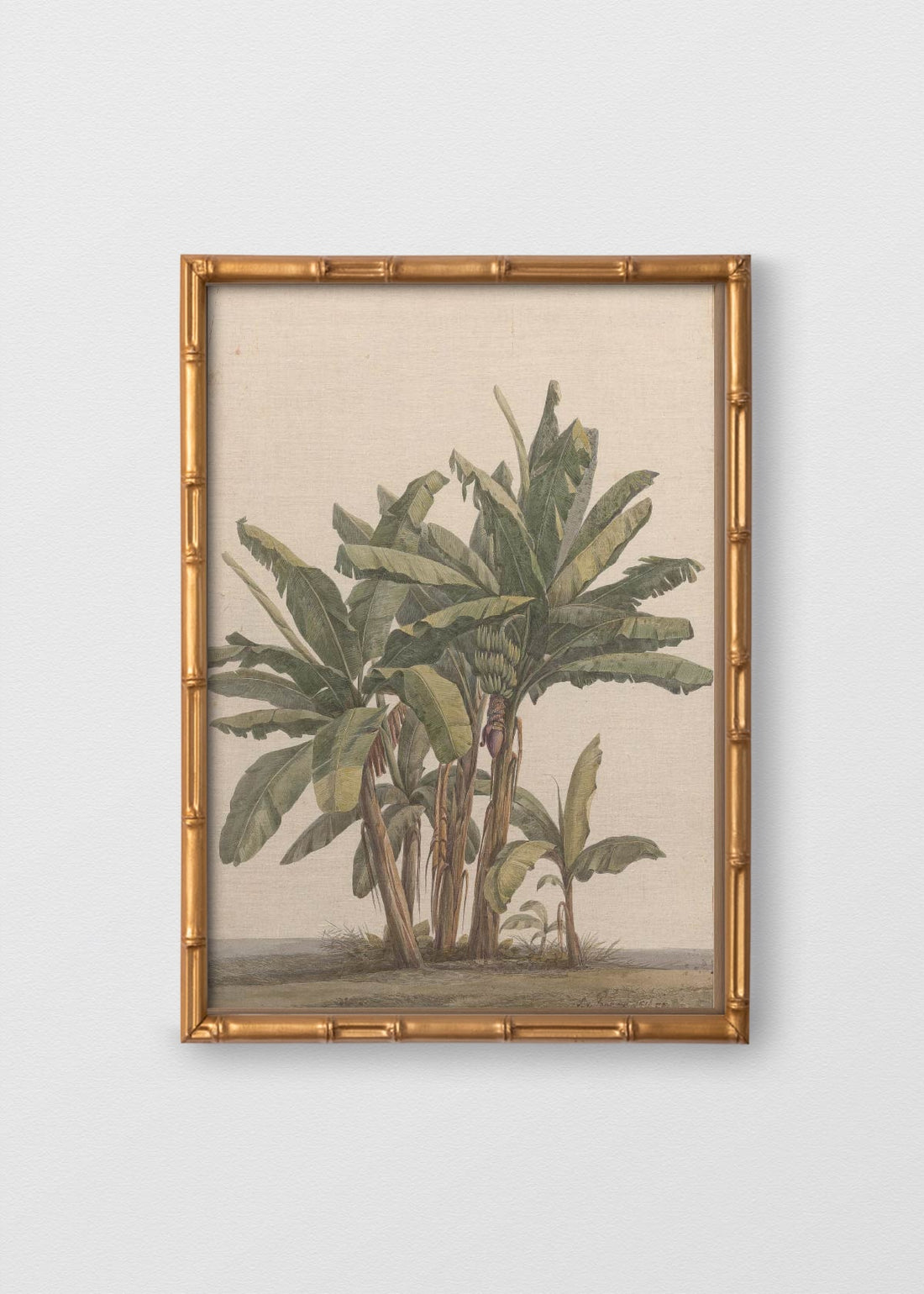 BAMBÚ DORADO ANTIGUO NO