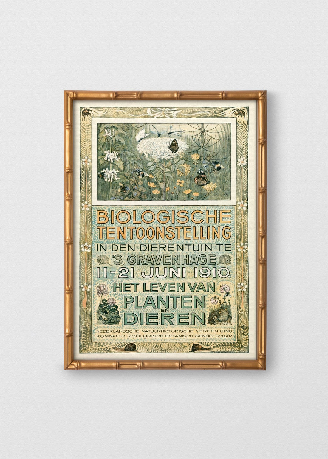 BAMBÚ DORADO ANTIGUO NO