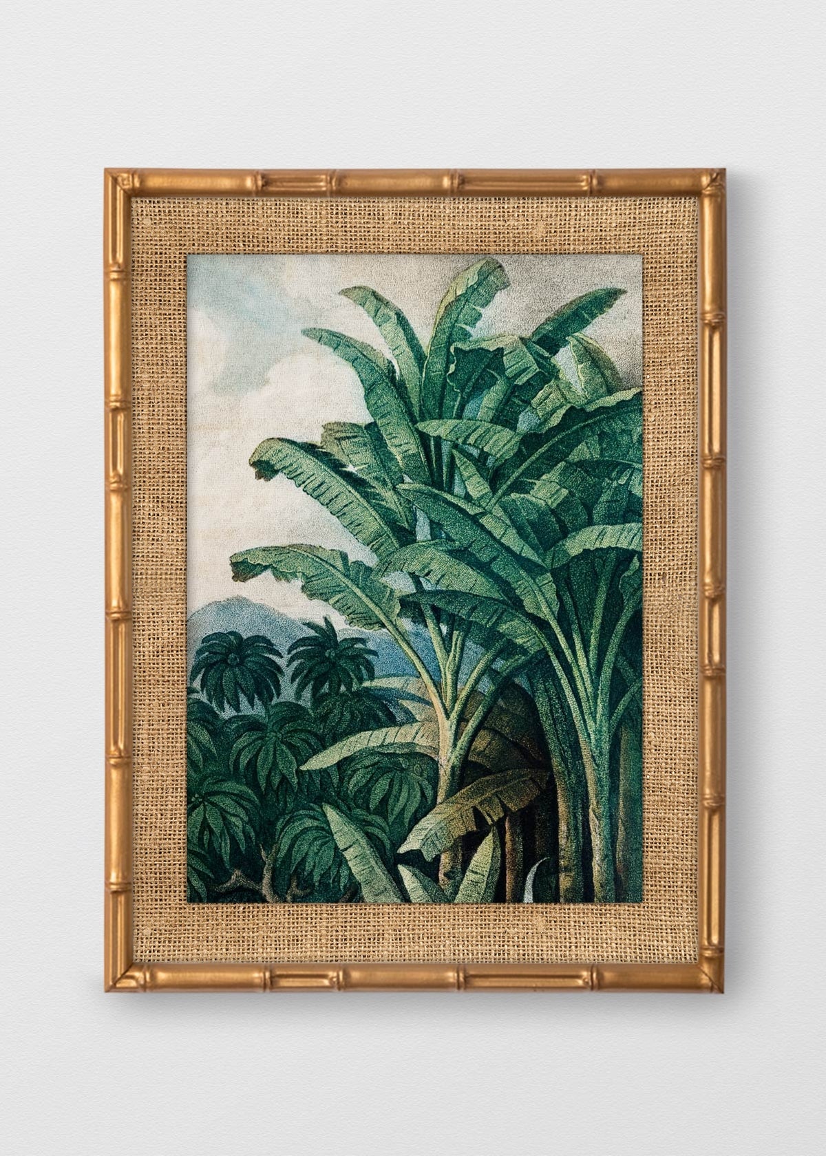 BAMBÚ DORADO ANTIGUO ARPILLERA