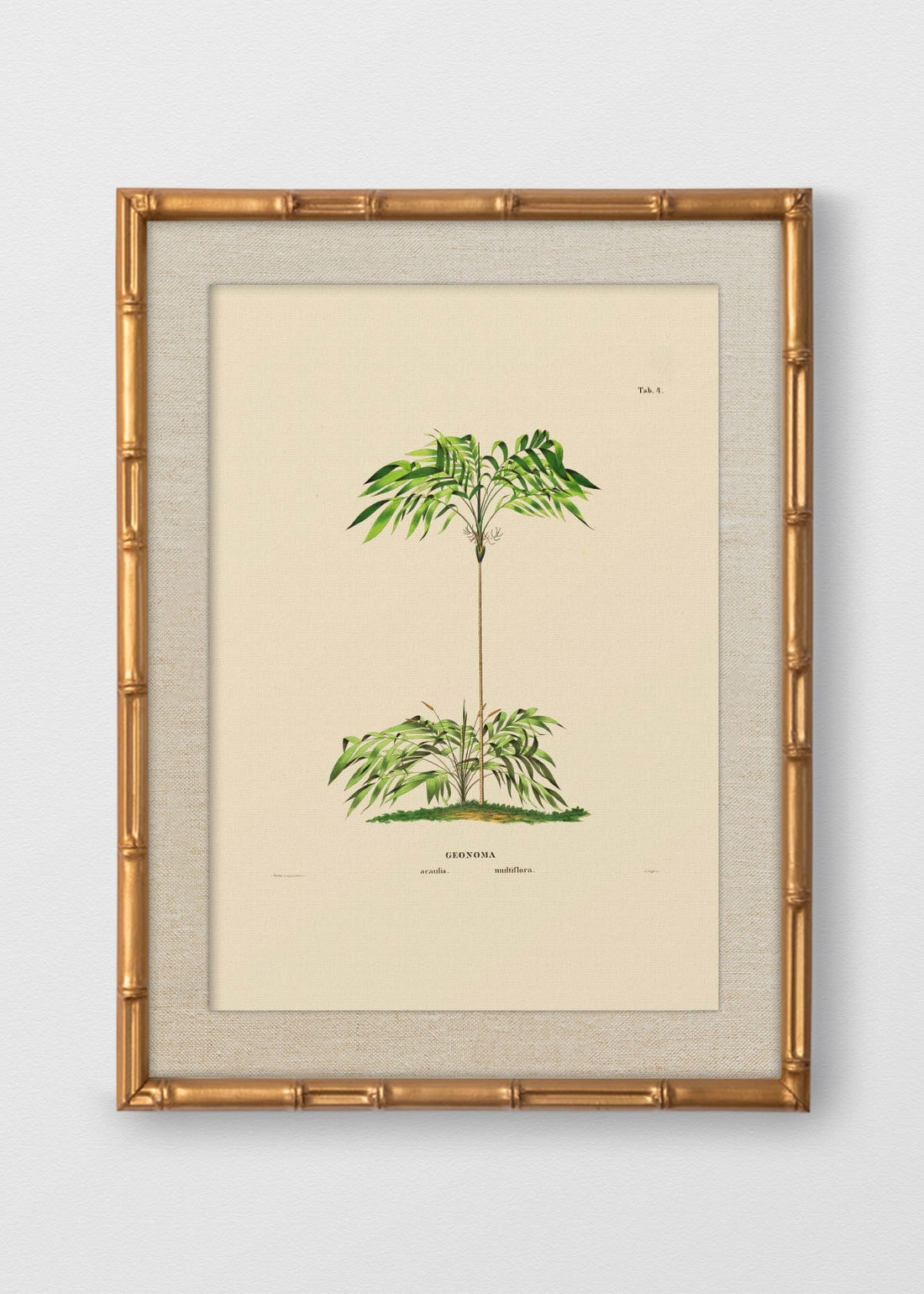 BAMBÚ DORADO ANTIGUO LINO CRUDO