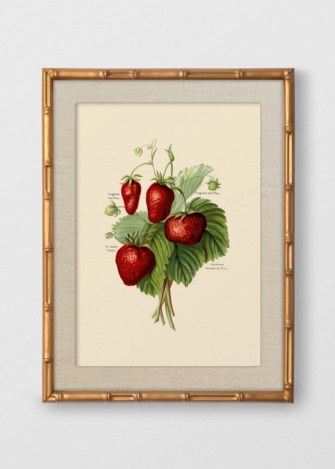 BAMBÚ DORADO ANTIGUO LINO CRUDO