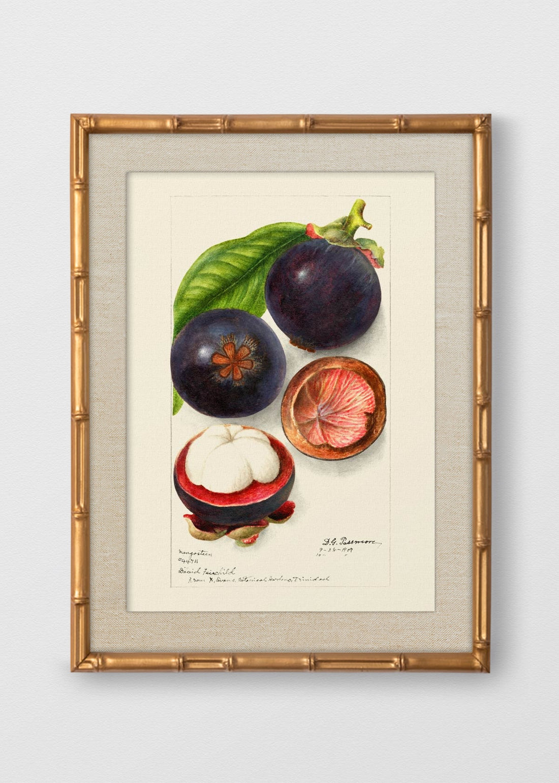 BAMBÚ DORADO ANTIGUO LINO CRUDO