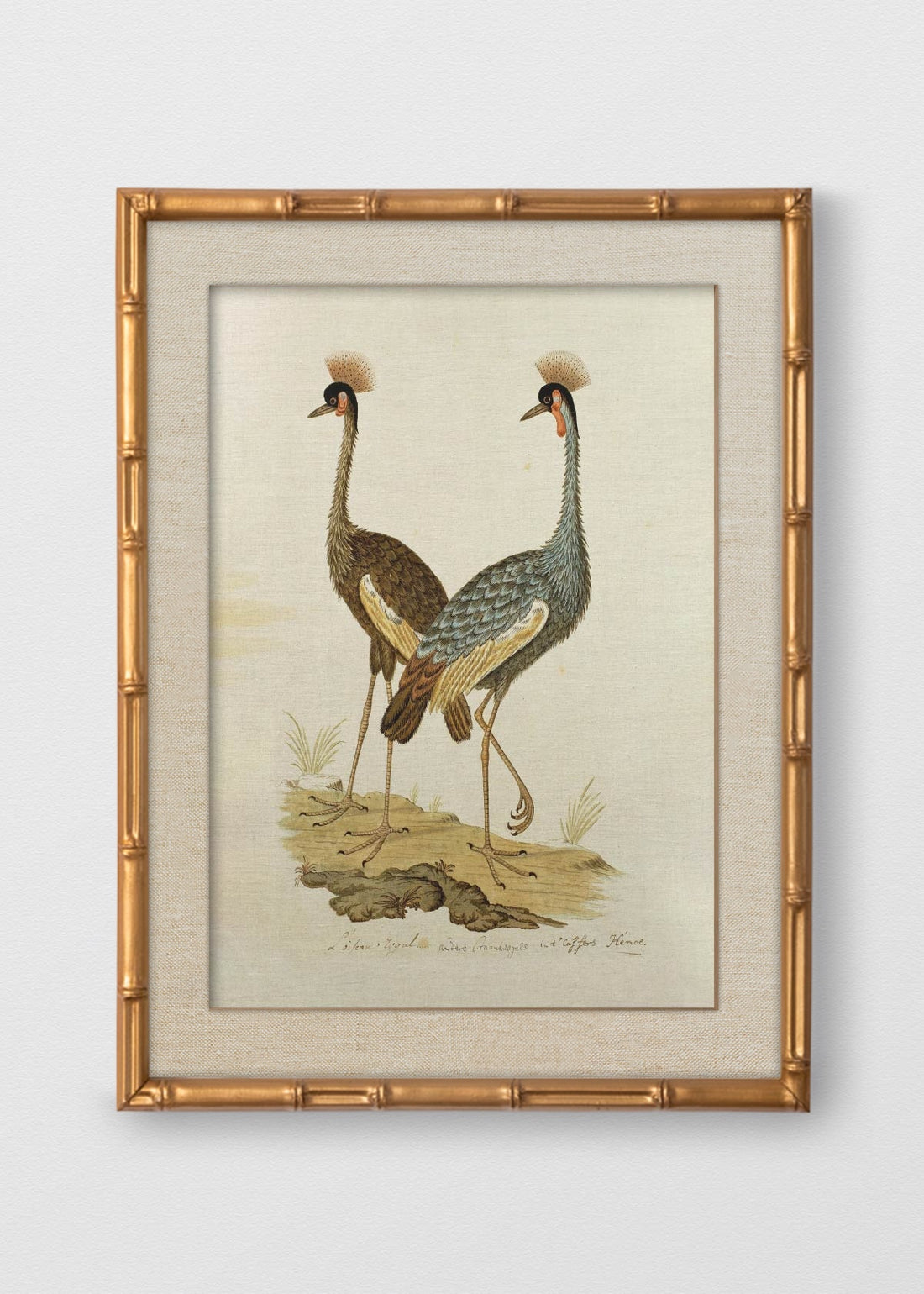BAMBÚ DORADO ANTIGUO LINO CRUDO