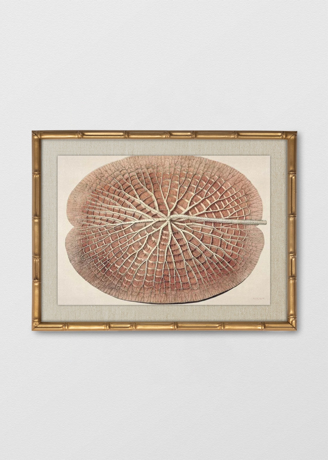 BAMBÚ DORADO ANTIGUO LINO CRUDO