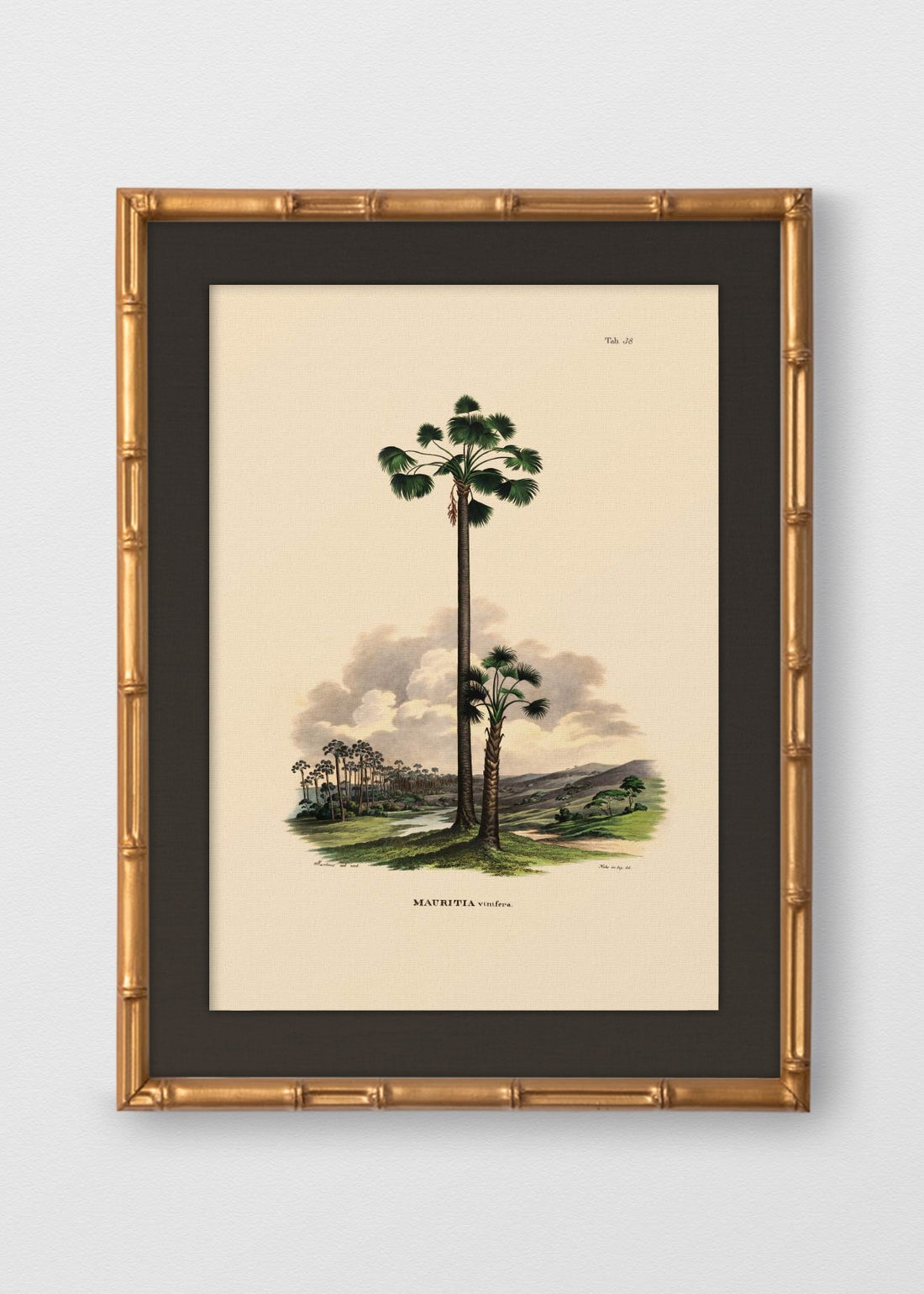 BAMBÚ DORADO ANTIGUO LINO NEGRO