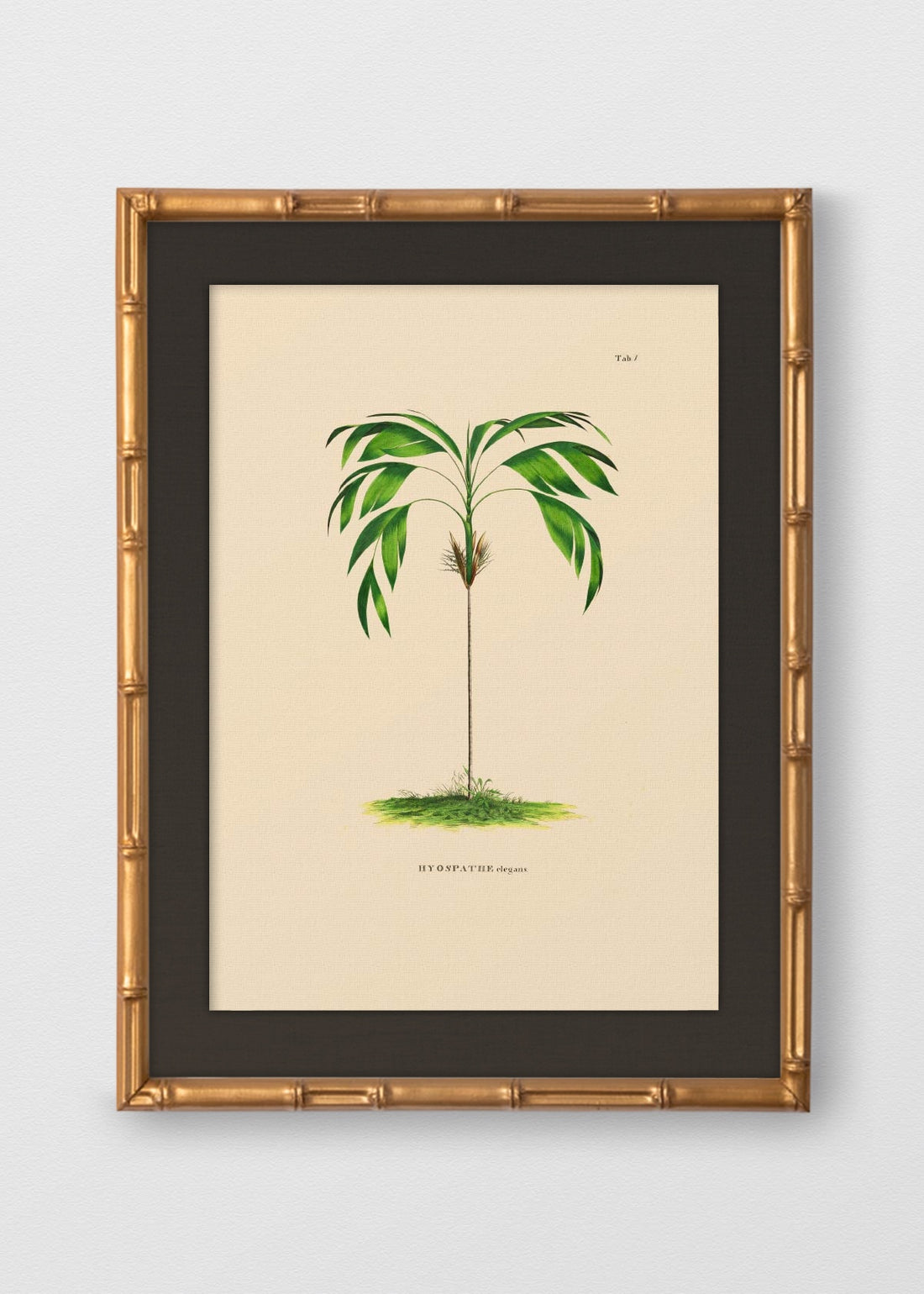 BAMBÚ DORADO ANTIGUO LINO NEGRO