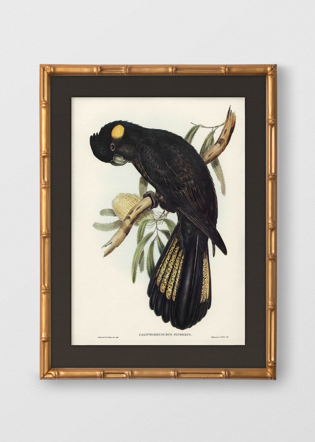 BAMBÚ DORADO ANTIGUO LINO NEGRO