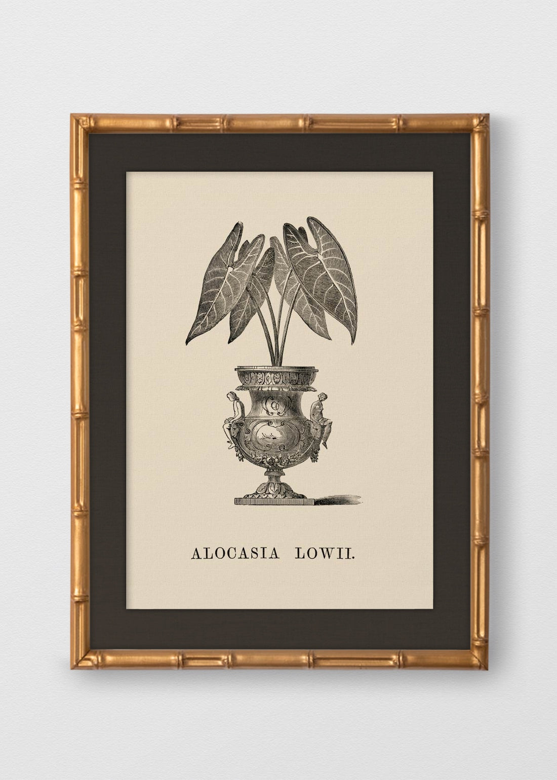 BAMBÚ DORADO ANTIGUO LINO NEGRO