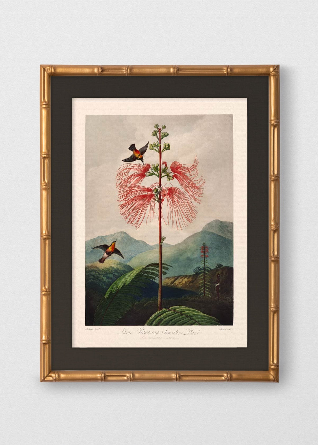 BAMBÚ DORADO ANTIGUO LINO NEGRO