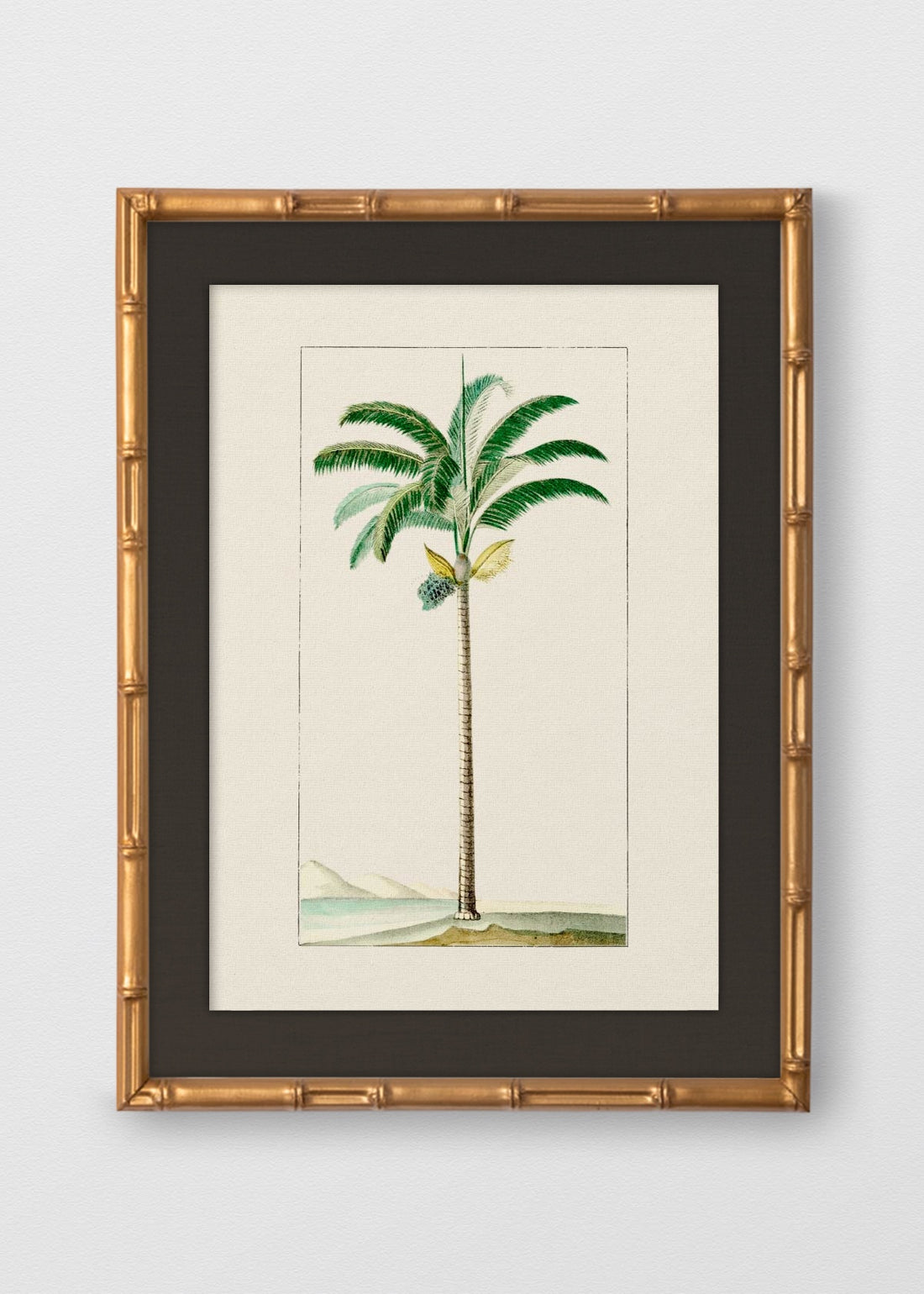 BAMBÚ DORADO ANTIGUO LINO NEGRO