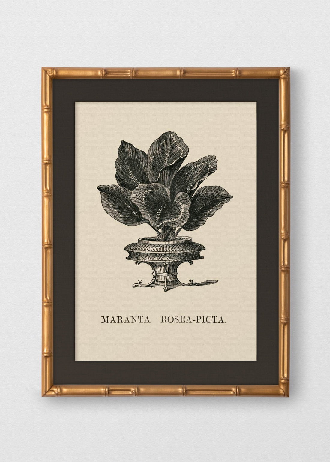 BAMBÚ DORADO ANTIGUO LINO NEGRO