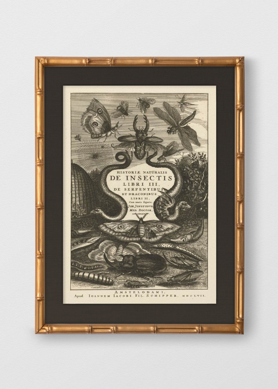 BAMBÚ DORADO ANTIGUO LINO NEGRO