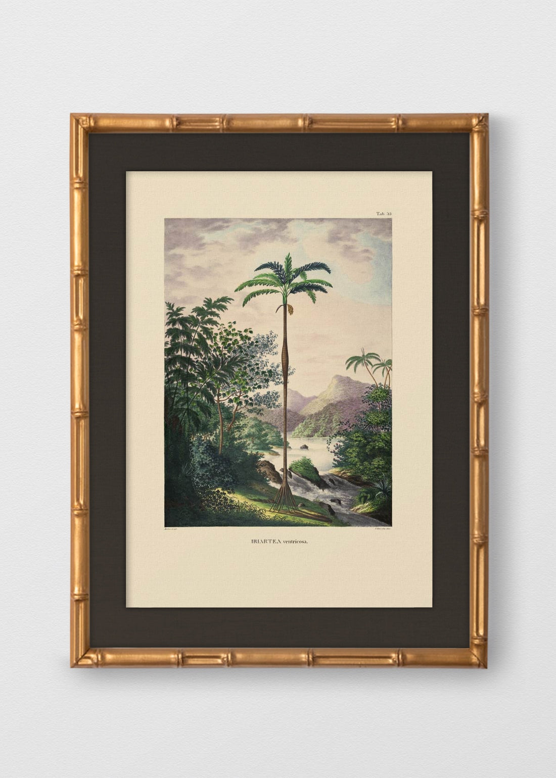 BAMBÚ DORADO ANTIGUO LINO NEGRO