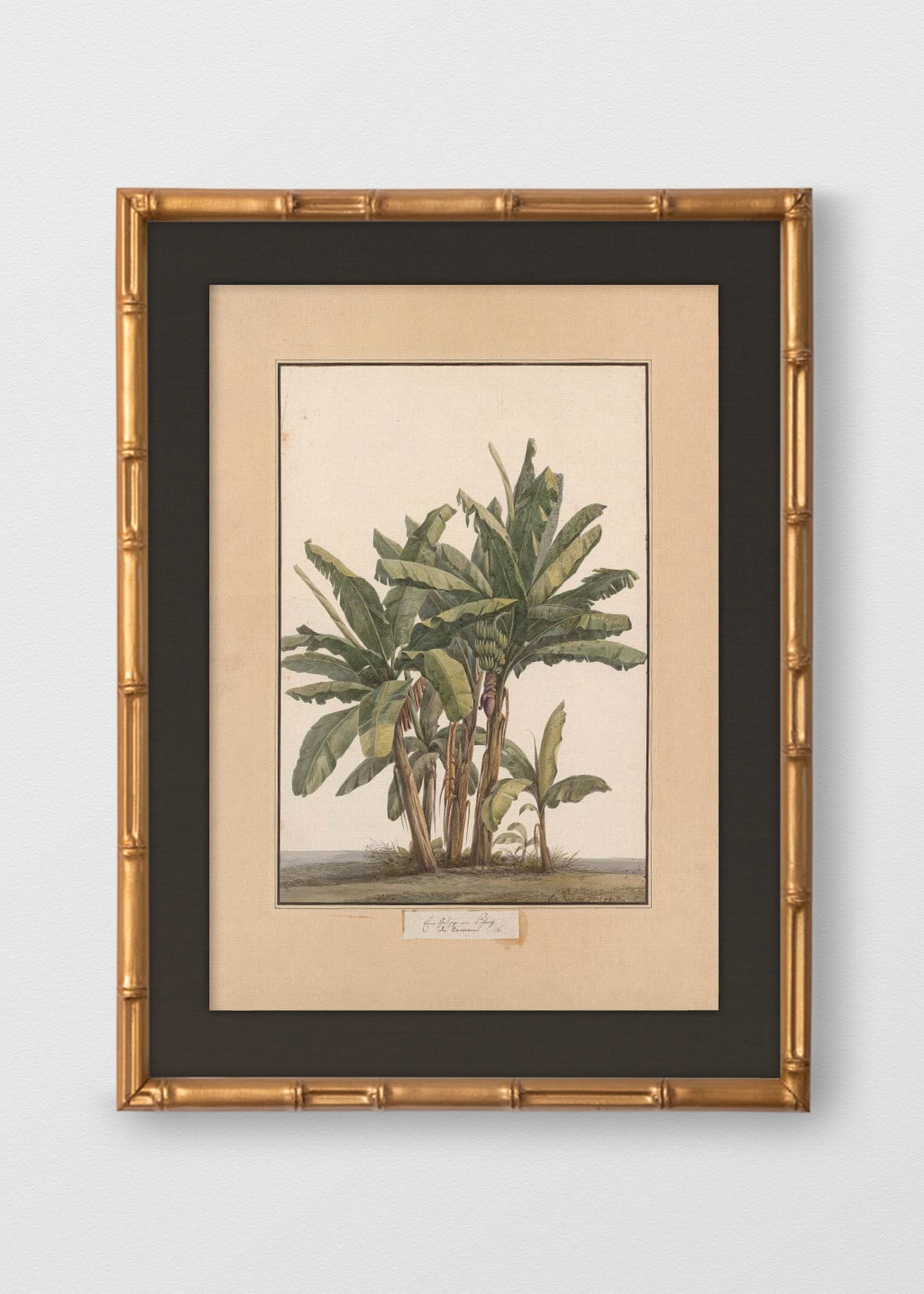 BAMBÚ DORADO ANTIGUO LINO NEGRO