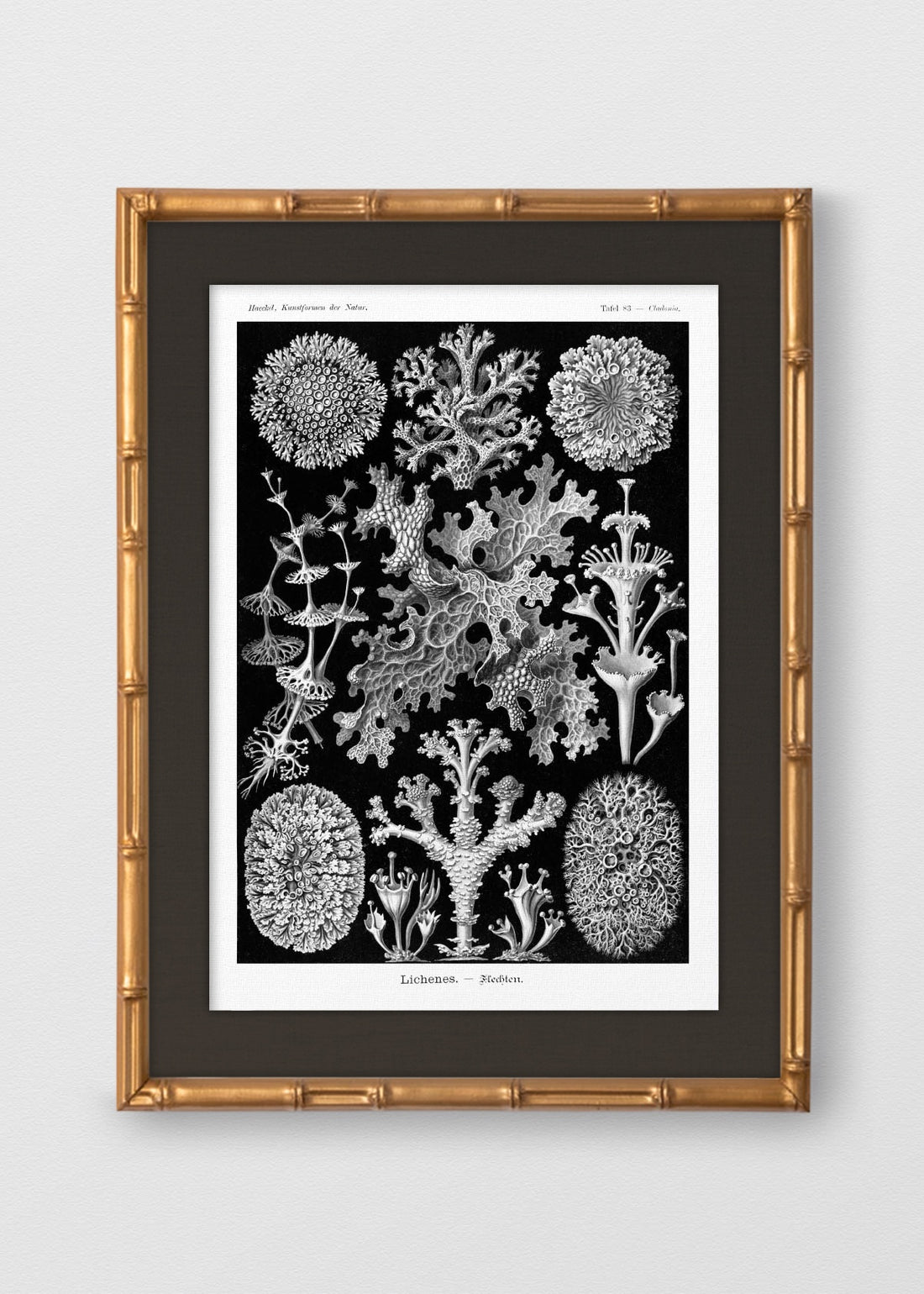 BAMBÚ DORADO ANTIGUO LINO NEGRO