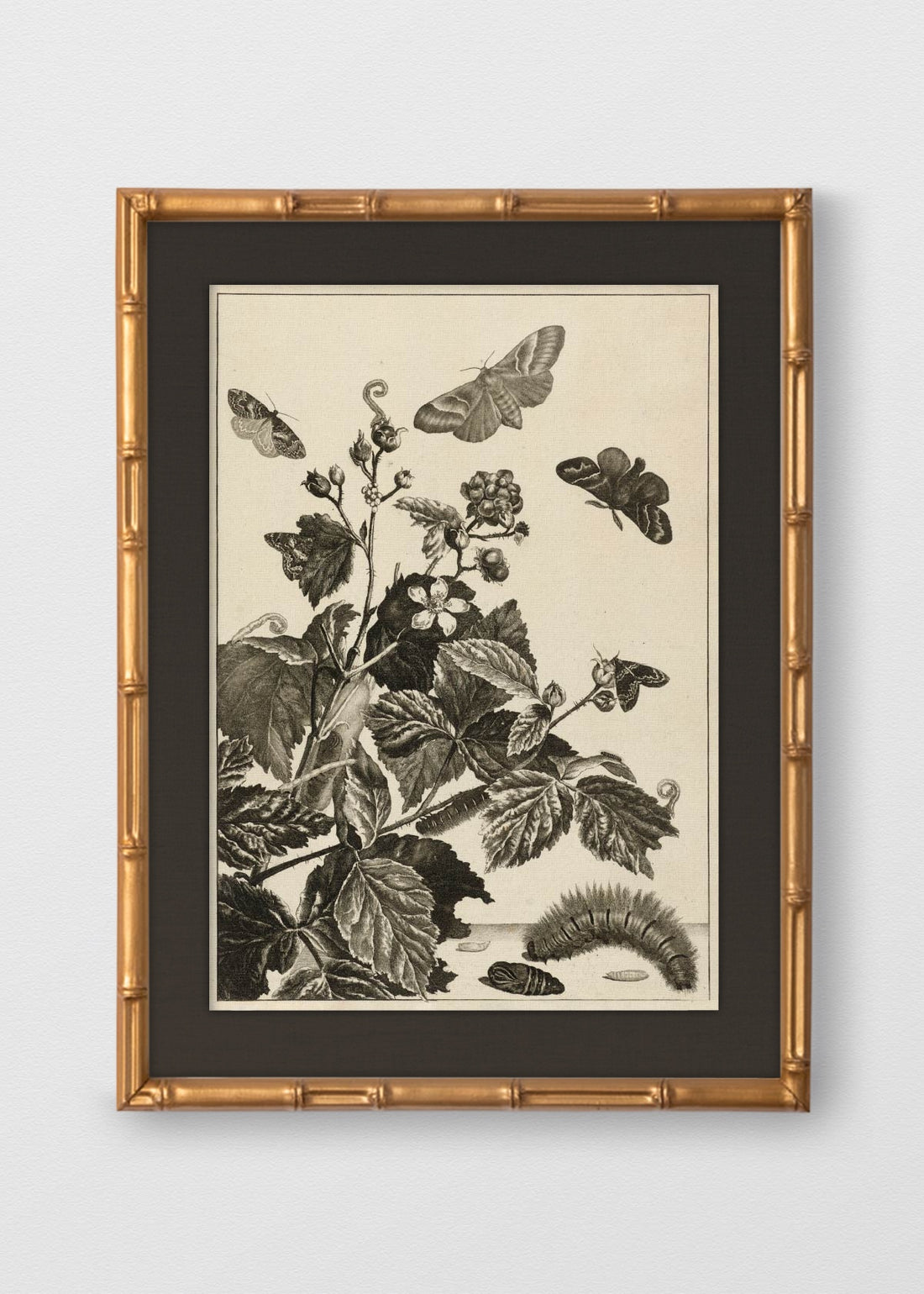 BAMBÚ DORADO ANTIGUO LINO NEGRO