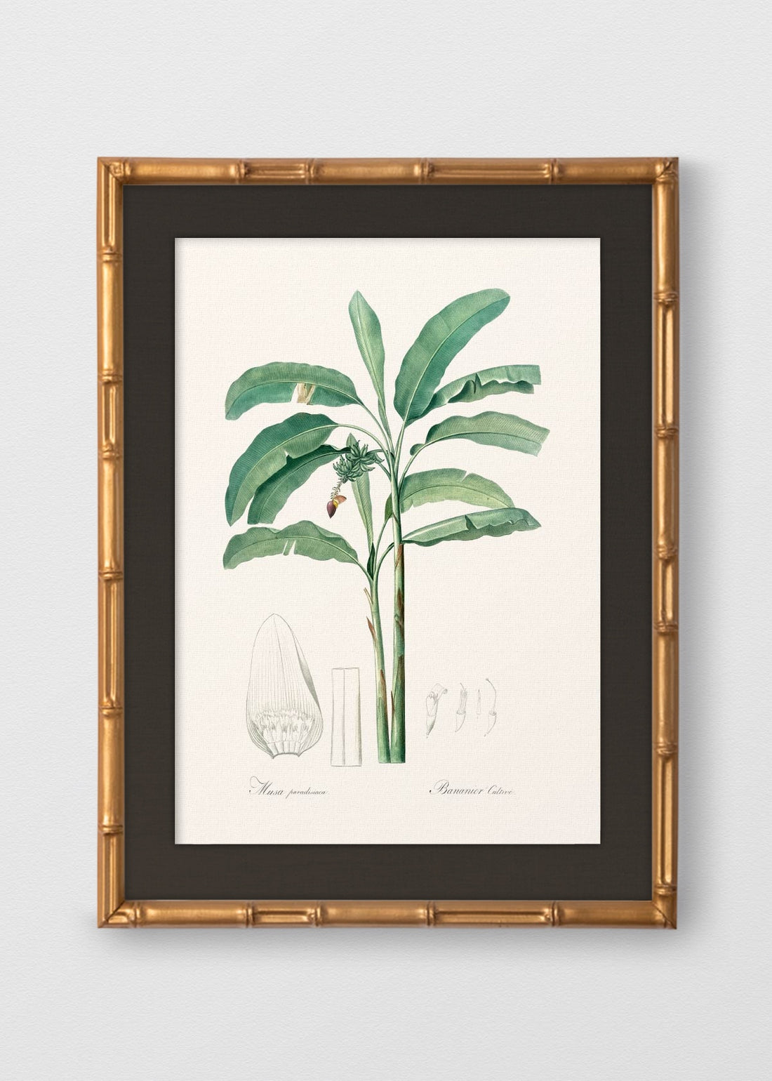 BAMBÚ DORADO ANTIGUO LINO NEGRO