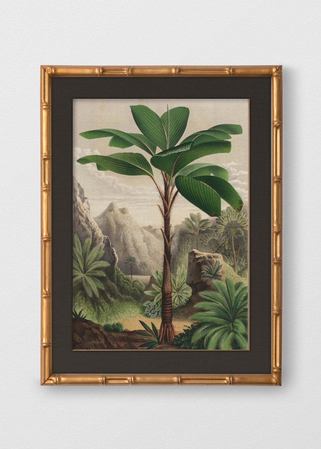 BAMBÚ DORADO ANTIGUO LINO NEGRO