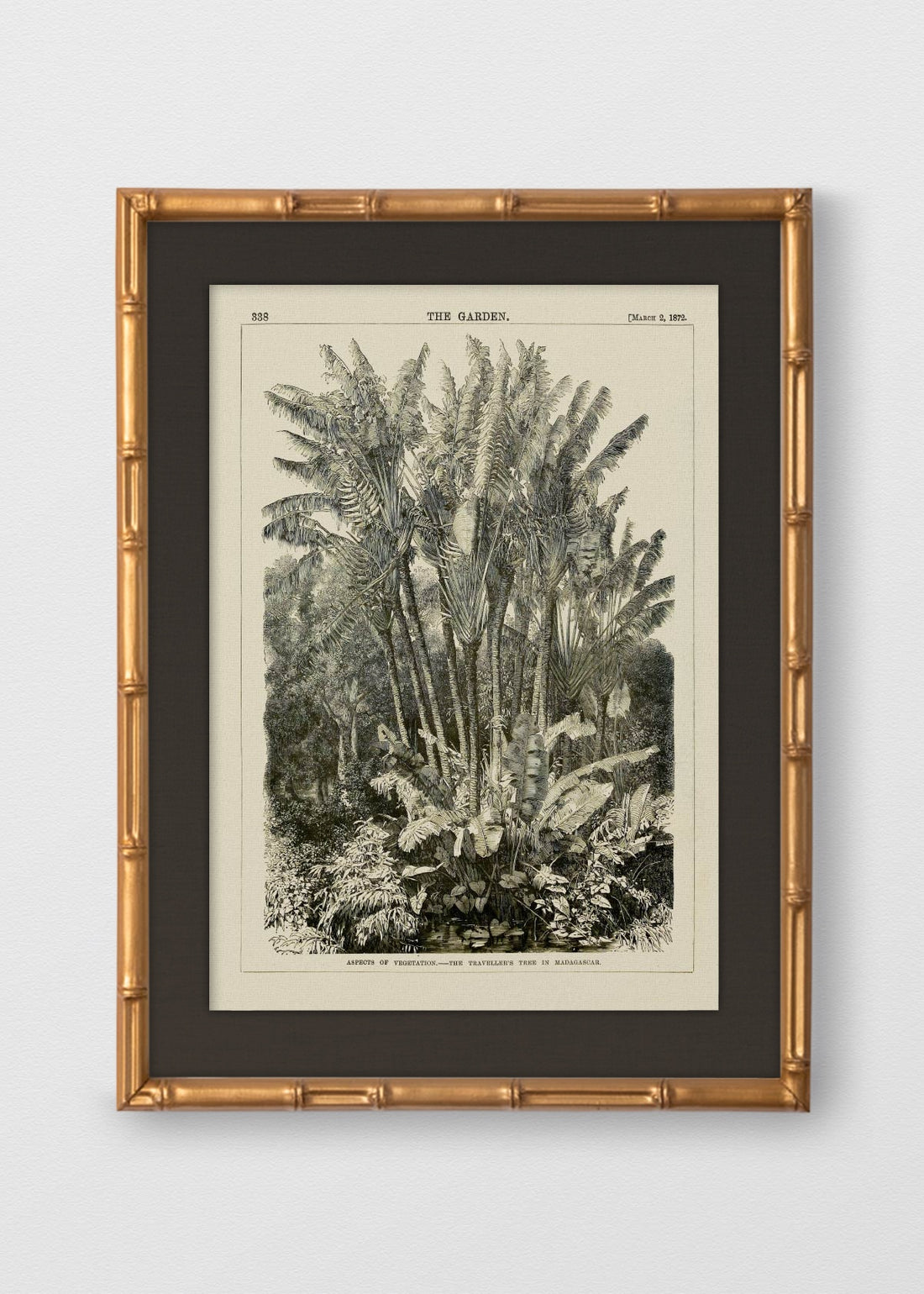 BAMBÚ DORADO ANTIGUO LINO NEGRO
