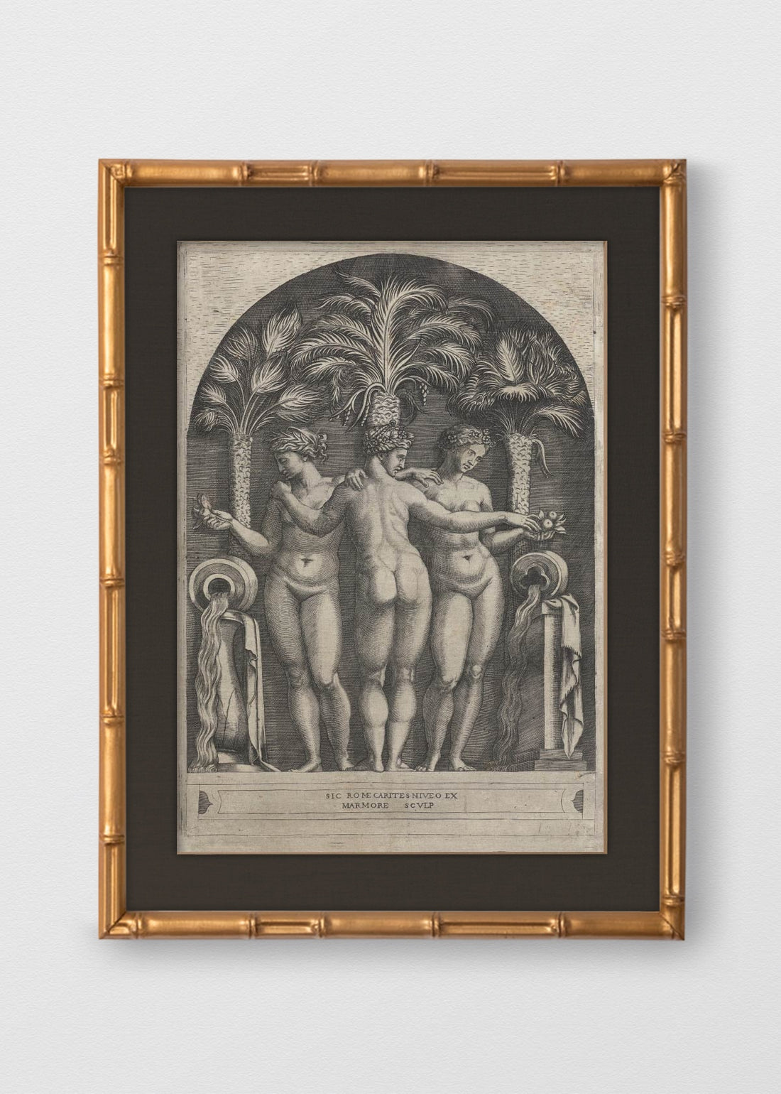 BAMBÚ DORADO ANTIGUO LINO NEGRO