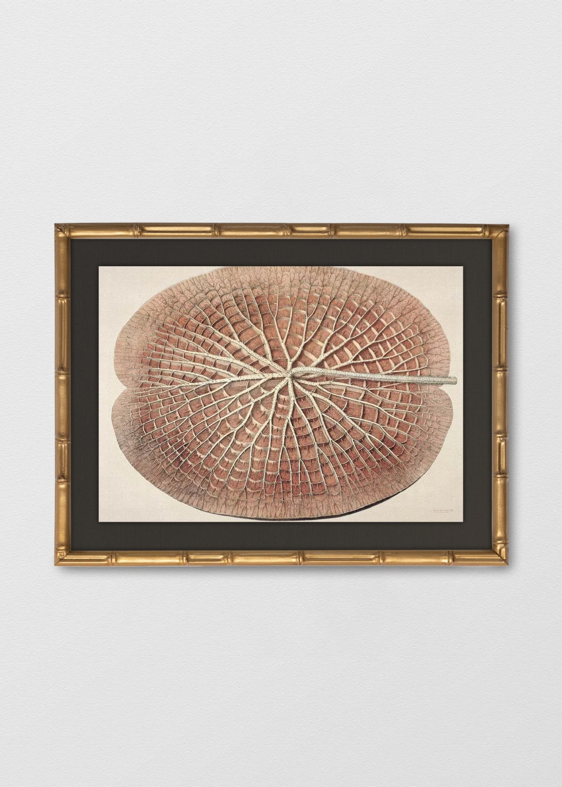 BAMBÚ DORADO ANTIGUO LINO NEGRO