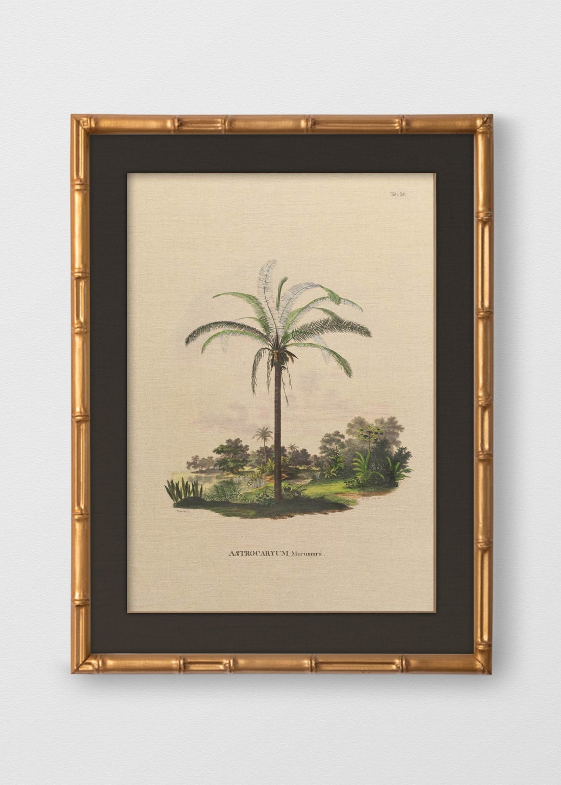 BAMBÚ DORADO ANTIGUO LINO NEGRO