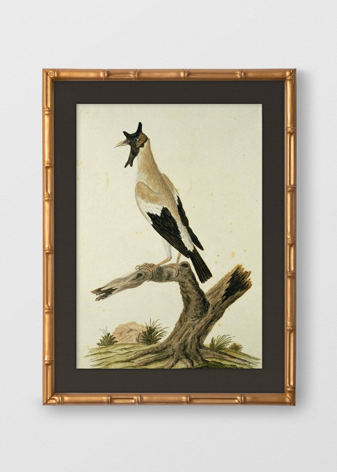 BAMBÚ DORADO ANTIGUO LINO NEGRO