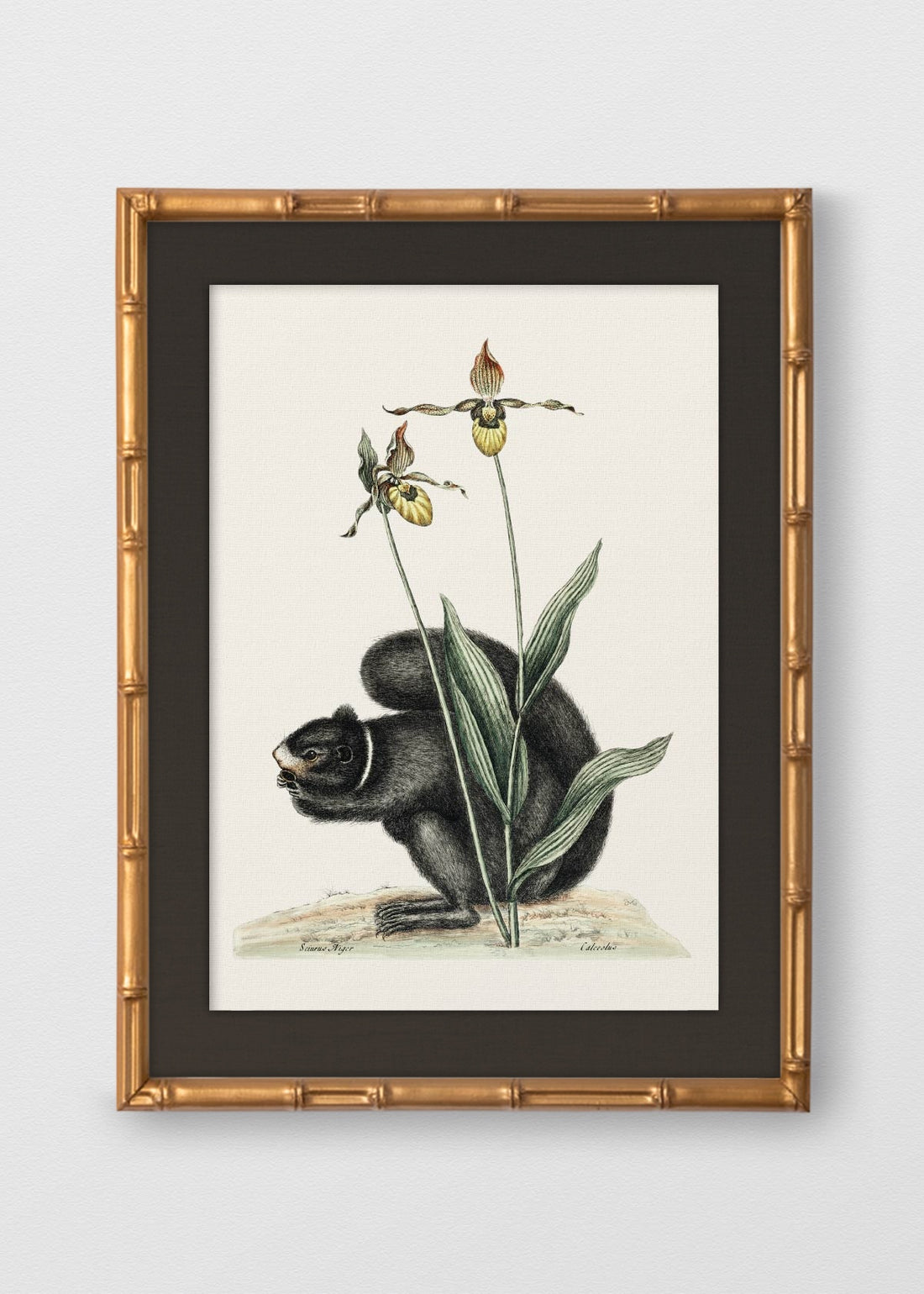 BAMBÚ DORADO ANTIGUO LINO NEGRO