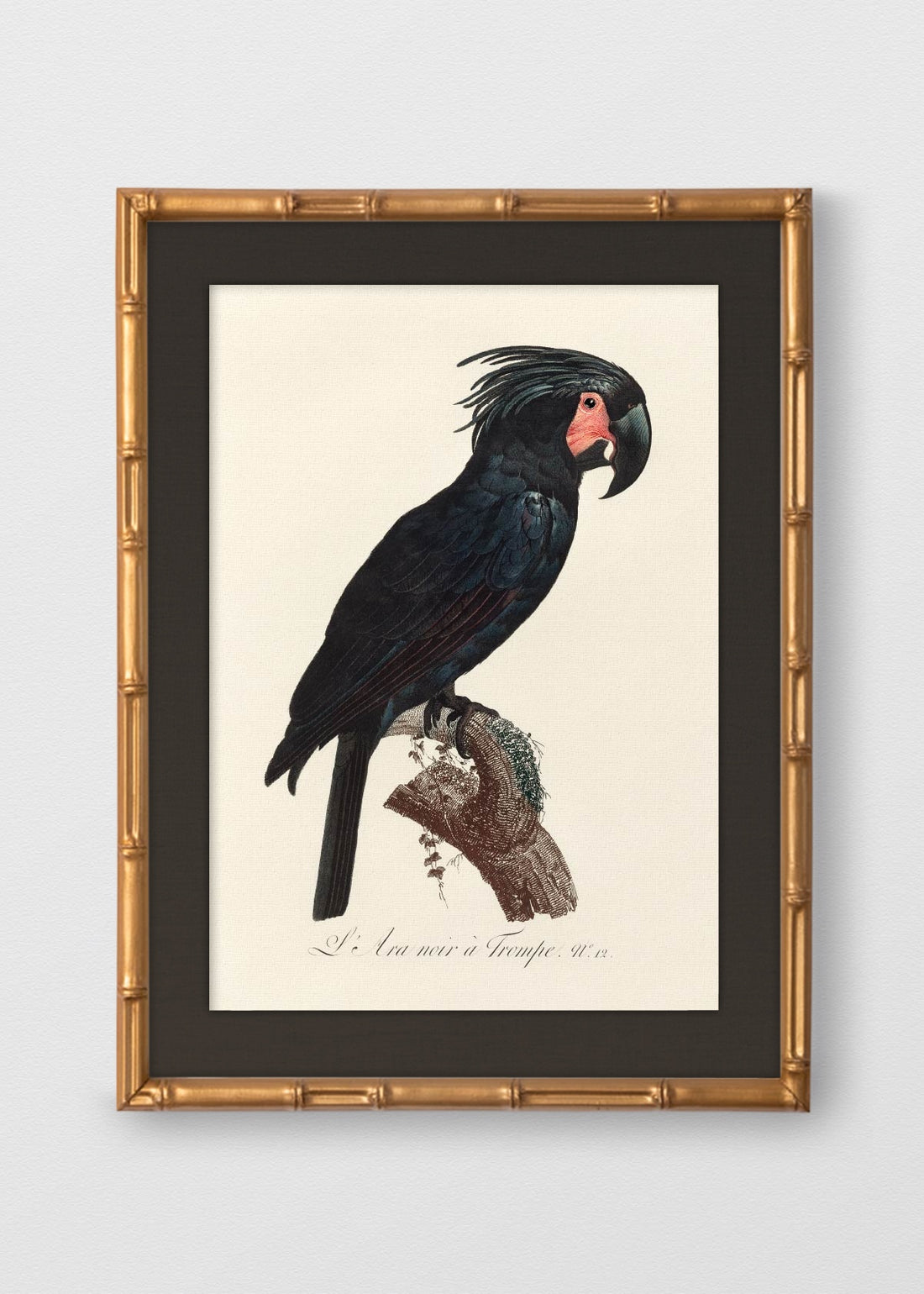 BAMBÚ DORADO ANTIGUO LINO NEGRO