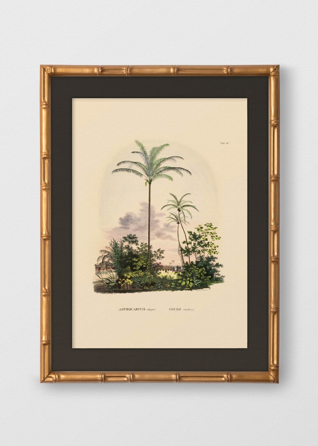 BAMBÚ DORADO ANTIGUO LINO NEGRO