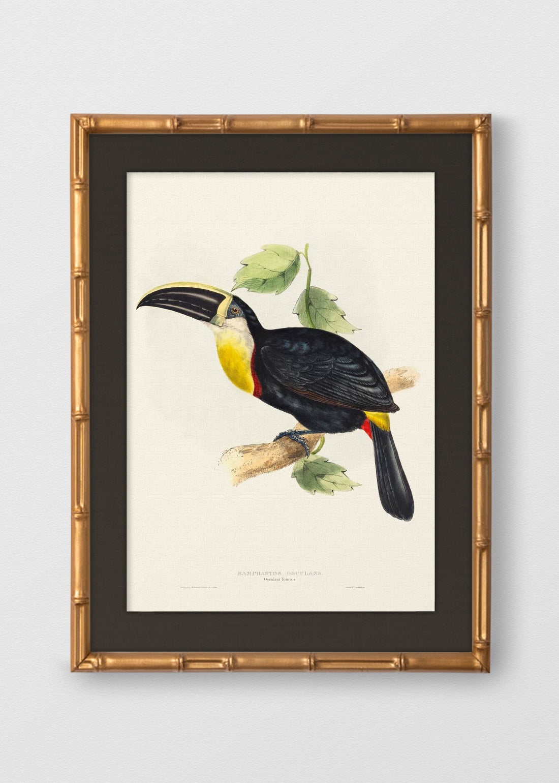 BAMBÚ DORADO ANTIGUO LINO NEGRO