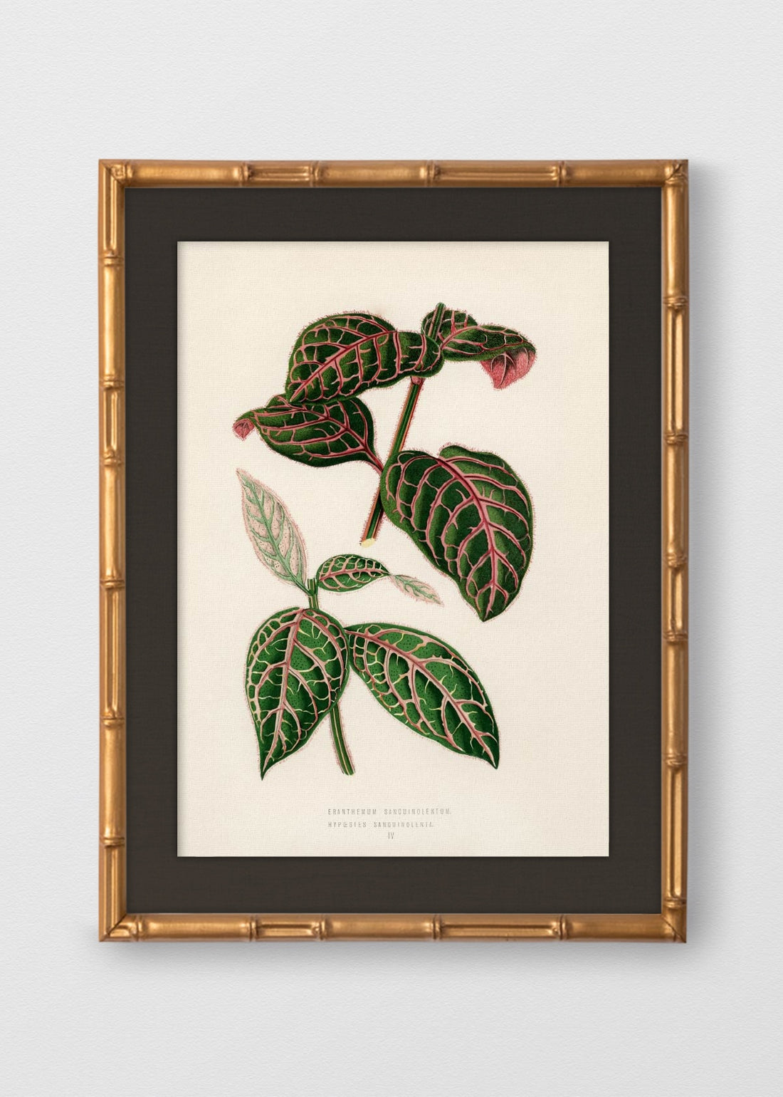 BAMBÚ DORADO ANTIGUO LINO NEGRO
