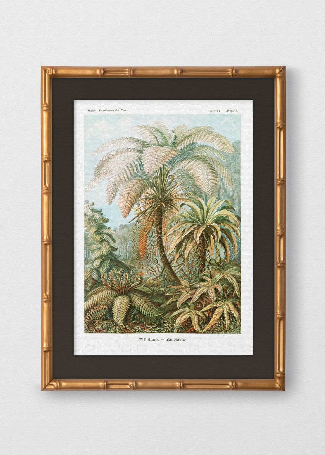 BAMBÚ DORADO ANTIGUO LINO NEGRO