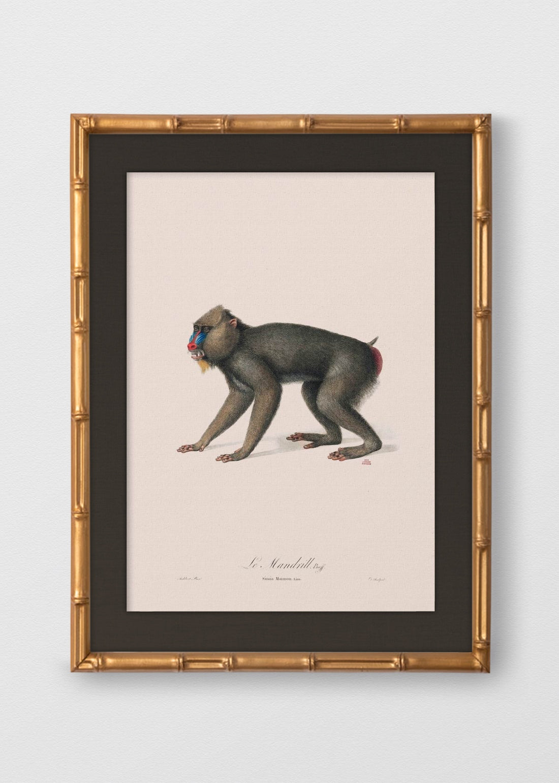 BAMBÚ DORADO ANTIGUO LINO NEGRO