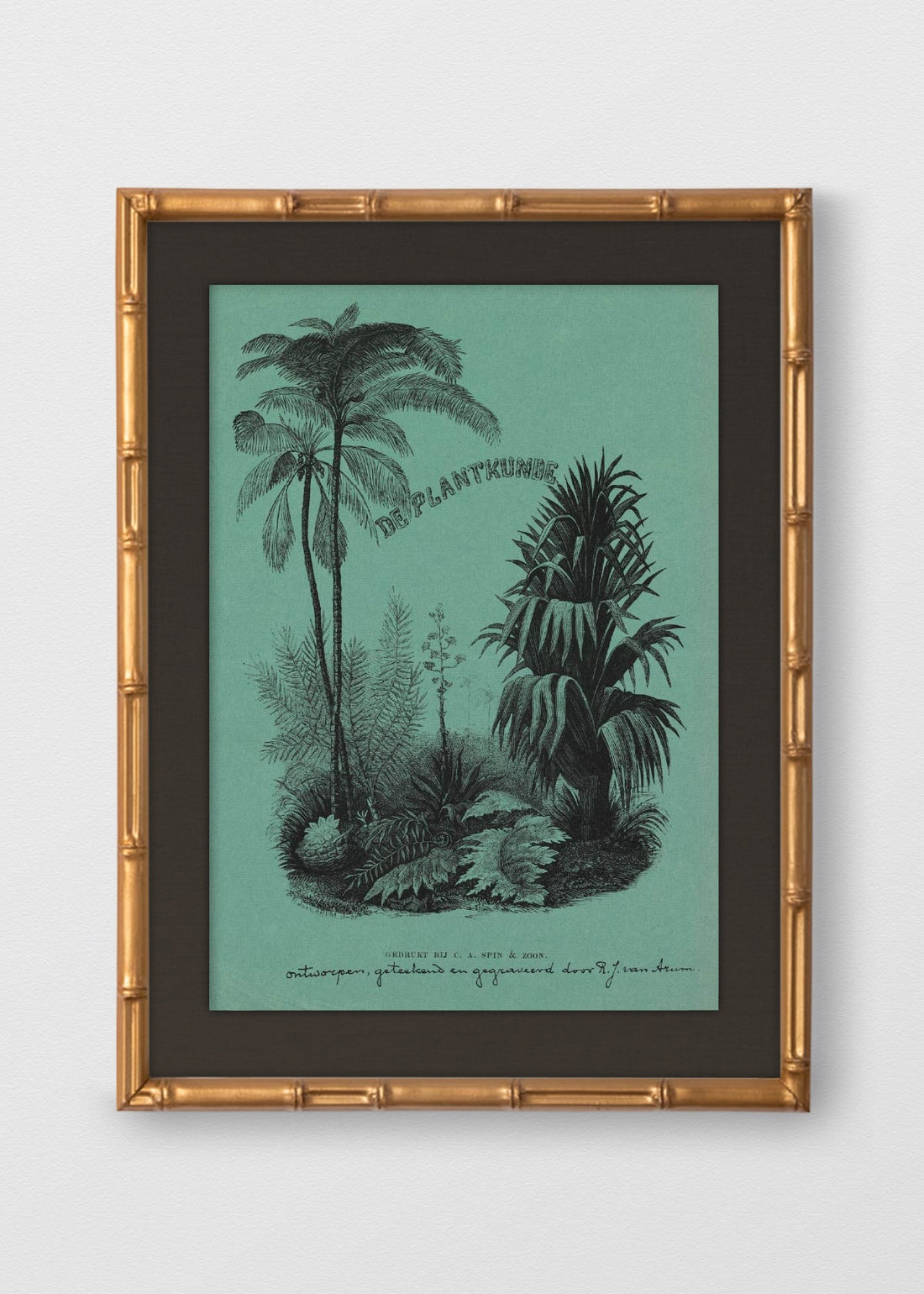 BAMBÚ DORADO ANTIGUO LINO NEGRO