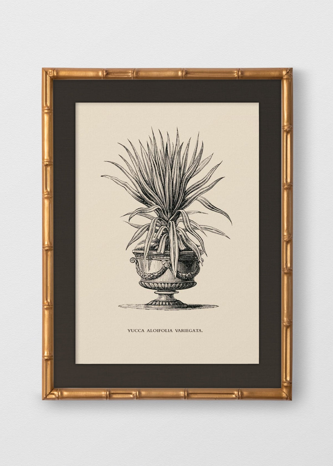 BAMBÚ DORADO ANTIGUO LINO NEGRO