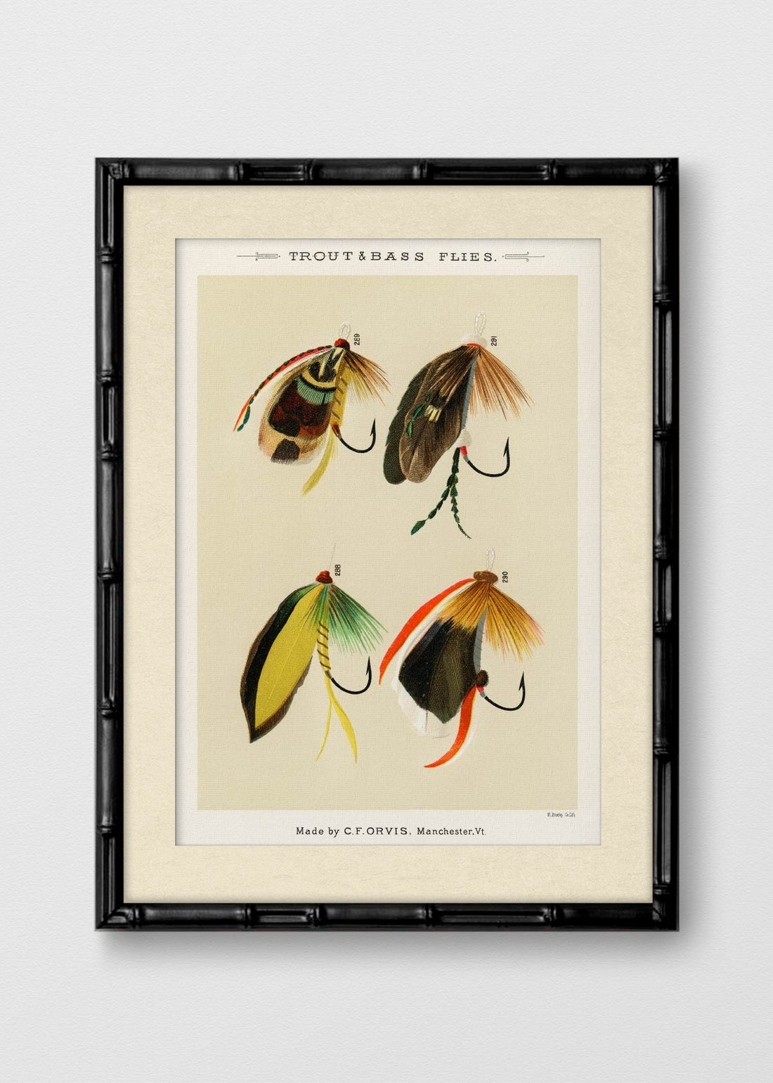 BAMBÚ NEGRO BLANCO INVIERNO