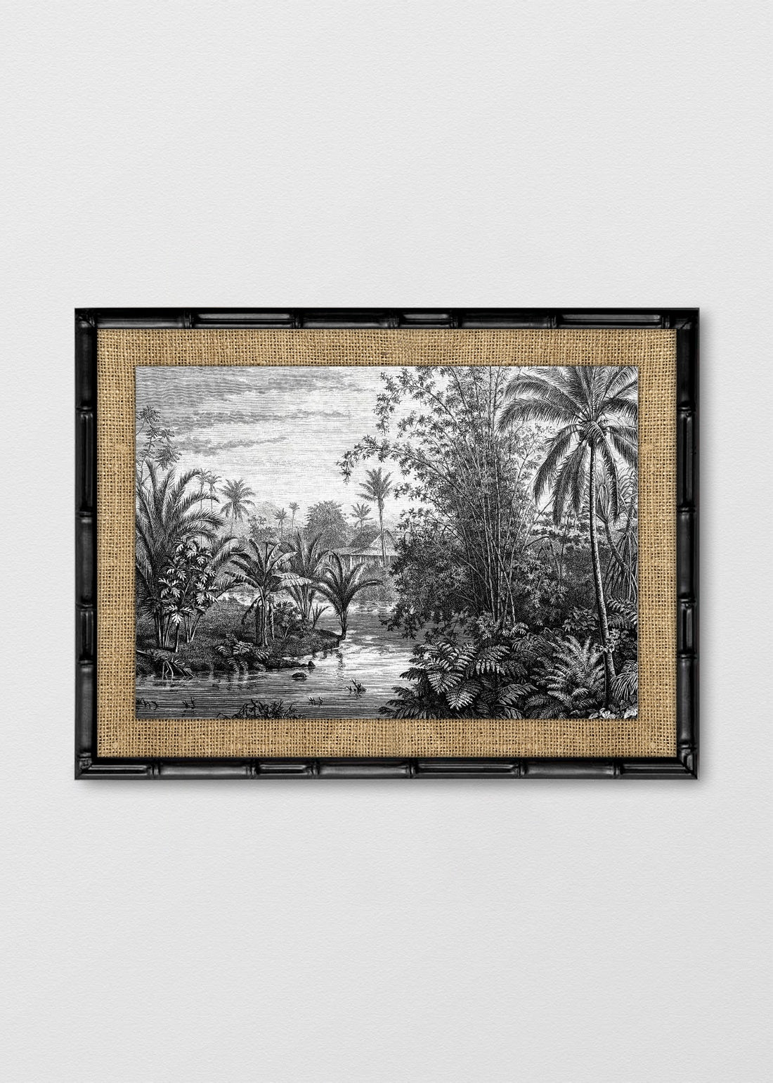 BAMBÚ NEGRO ARPILLERA