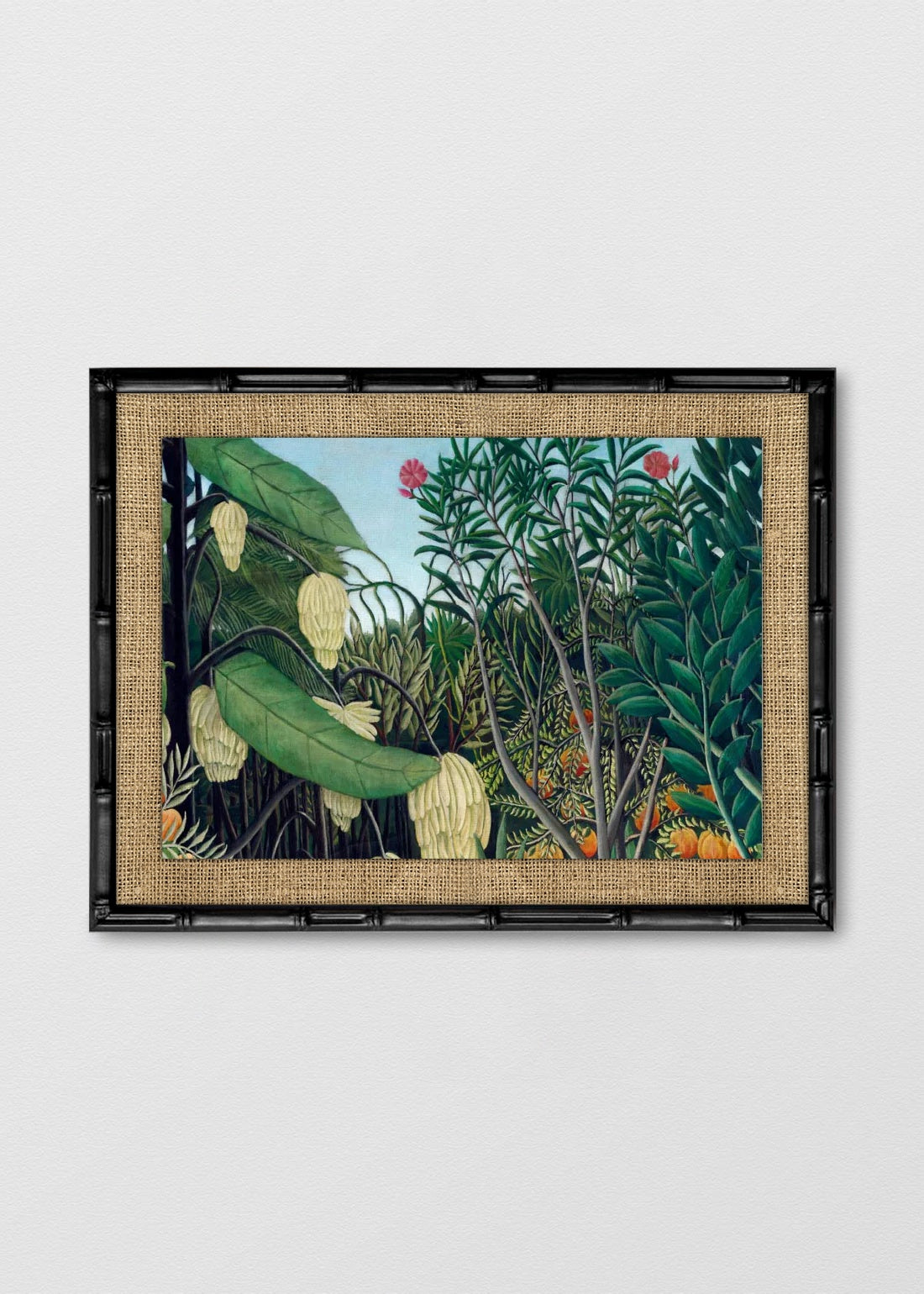 BAMBÚ NEGRO ARPILLERA