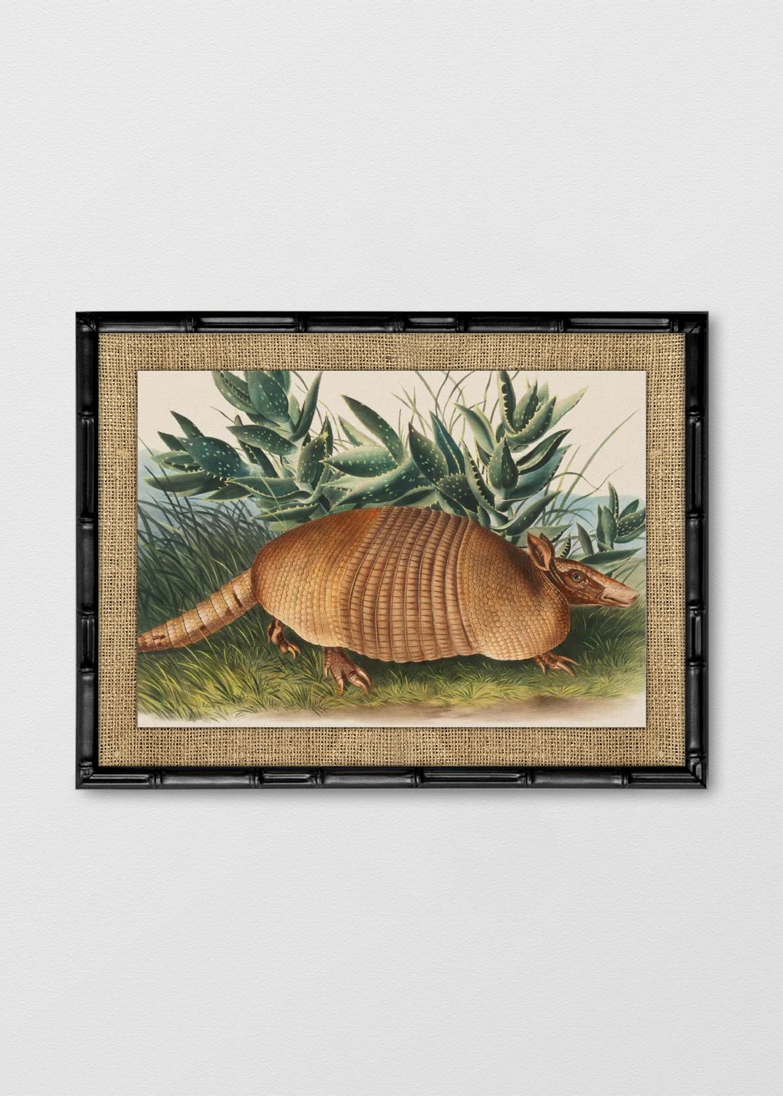 BAMBÚ NEGRO ARPILLERA