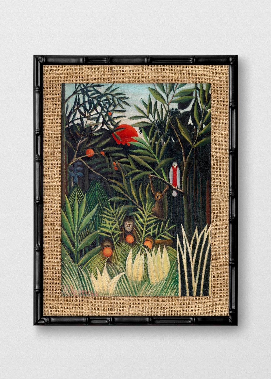 BAMBÚ NEGRO ARPILLERA