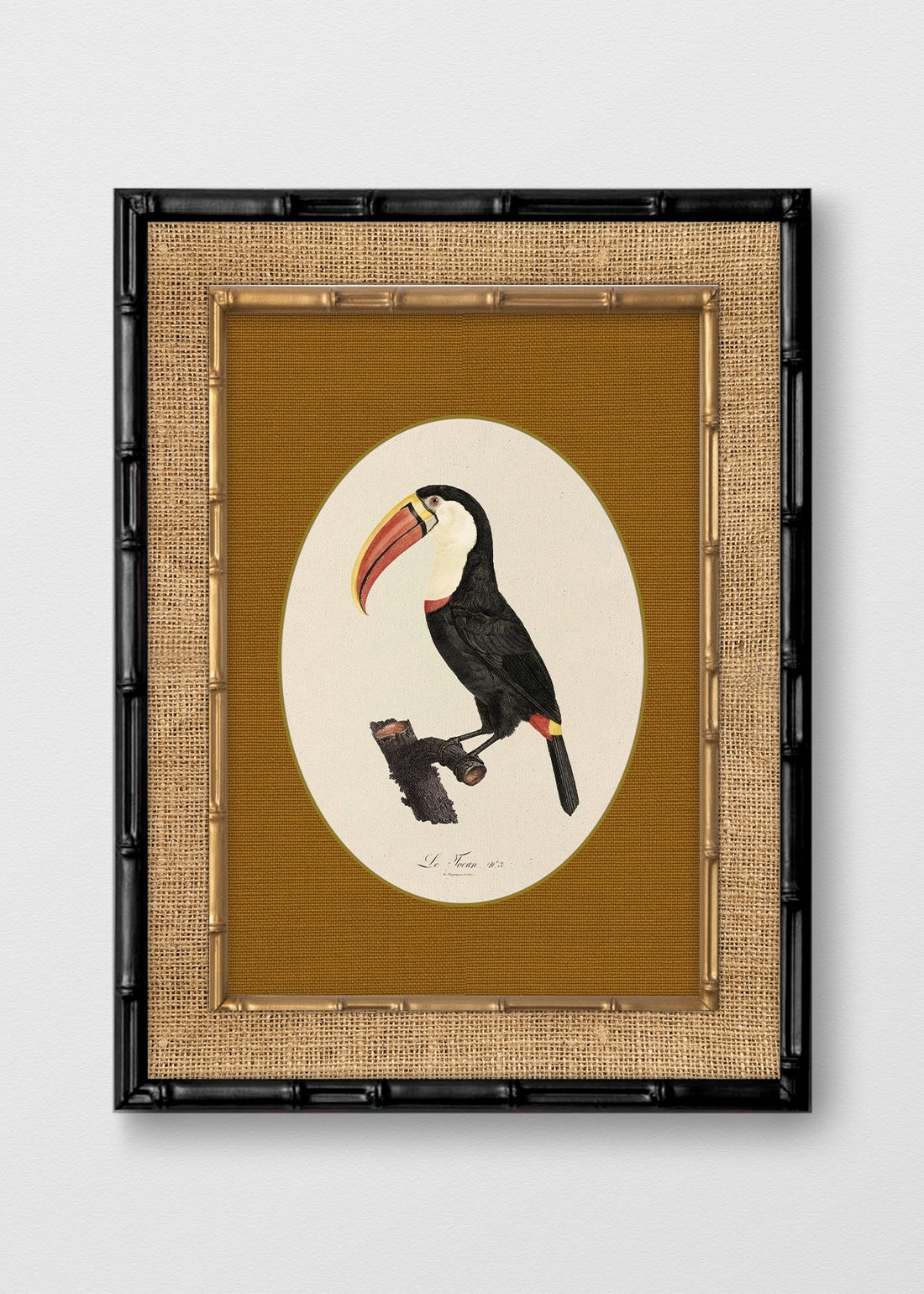 BAMBÚ NEGRO ARPILLERA