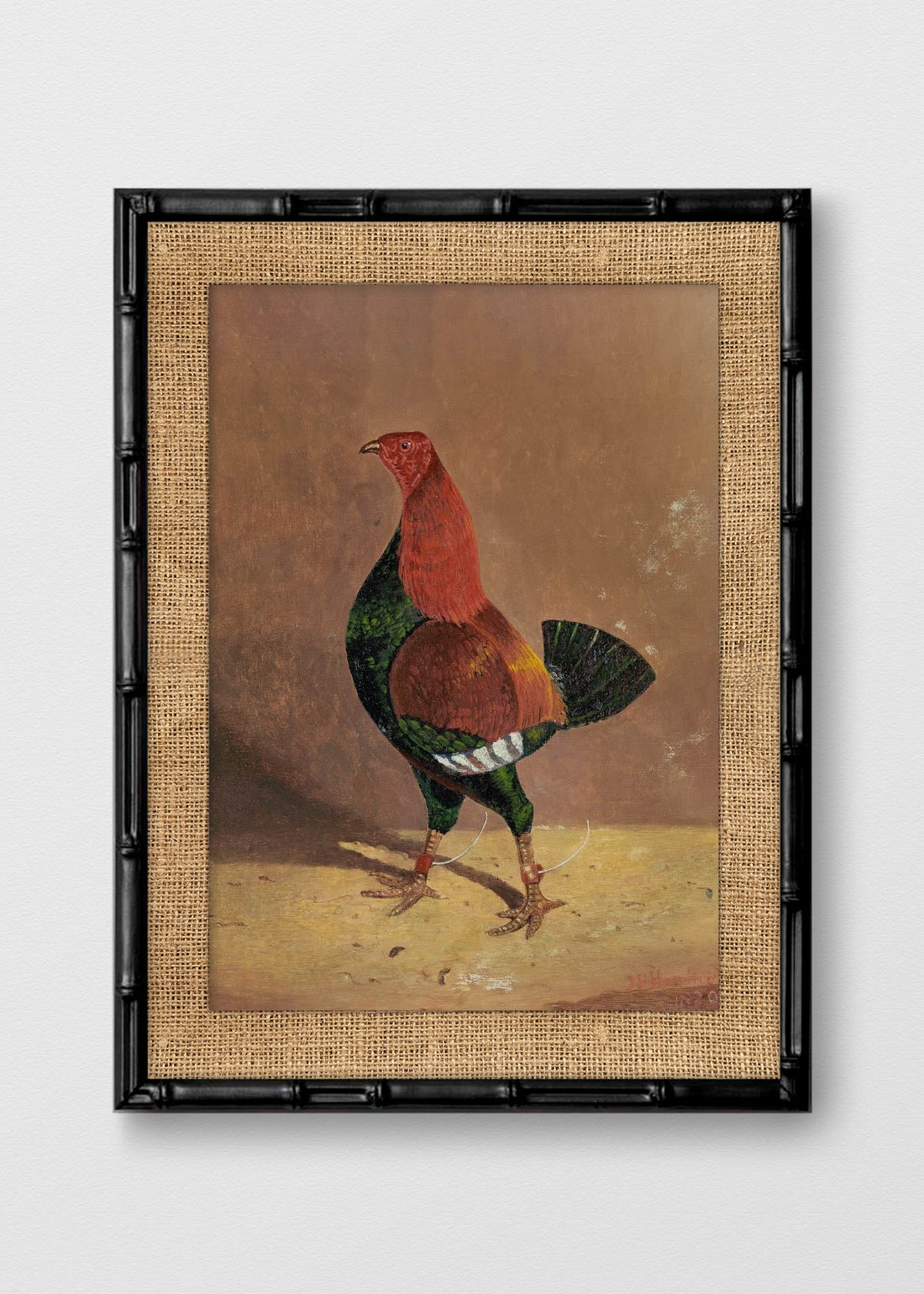 BAMBÚ NEGRO ARPILLERA