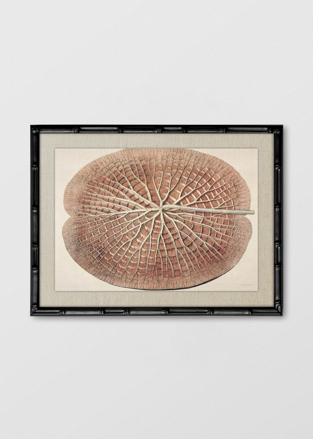 BAMBÚ NEGRO LINO CRUDO